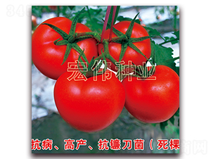ȫ��219-�������������-��ΰ��ҵ