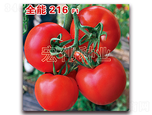 ȫ��216-�������������-��ΰ��ҵ