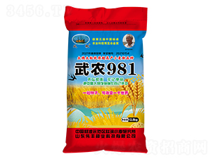 ��ũ981��С�����ӣ�-ΰ����ҵ