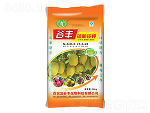 ����識�21-6-24-�ȷ�-�ƜBũҵ