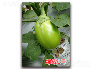 �̹�һ��-��������-��ŵũҵ