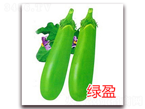 ��ӯ-��������-��ŵũҵ