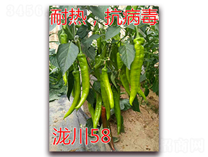 ��58-���ȼ⽷����-��ŵũҵ