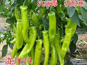 ��74�����ͺ���ǽ�����-��ŵũҵ