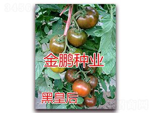 �ڻʺ�-ӣ�ҷ�������-��ŵũҵ