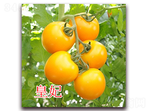 ����-ӣ�ҷ�������-��ŵũҵ
