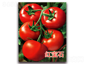 �챦ʯ-�����������-��ŵũҵ