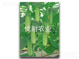 �Ź�901-�ƹ�����-����ũҵ