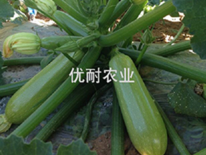 �ź�����-����«����-����ũҵ