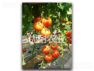 �ź�1513-��������-����ũҵ