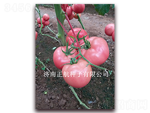 ��ϲ132-�۹���������-����