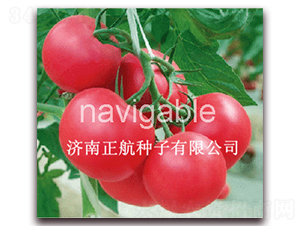 �۱�88-�۹���������-����