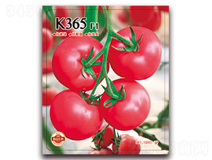 K365-�۹���������-����