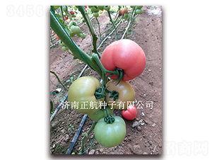 ����619-�۹���������-����