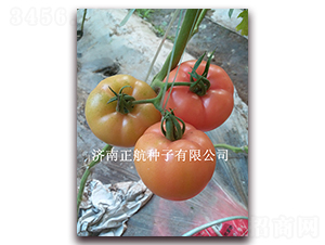 1789-�۹���������-����