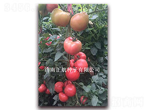 �ط�701-�۹���������-����