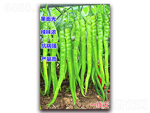 һ����-��������-����ũҵ