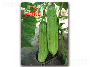 ���ƹ�H-23-�ƹ�����-����ũҵ