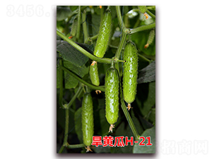 ���ƹ�H-21-�ƹ�����-����ũҵ