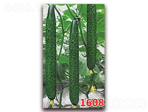 1608-�ƹ�����-����ũҵ