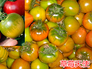 ��ݮ��ʹ-ӣ��С����������-����ũҵ