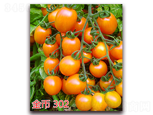 ���302-ӣ��С����������-����ũҵ