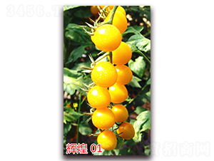 �Ի�01-ӣ��С����������-����ũҵ
