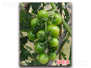 ������-ӣ��С����������-����ũҵ