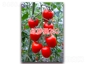 ������202-ӣ��С����������-����ũҵ