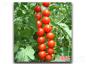 һ����-ӣ��С����������-����ũҵ