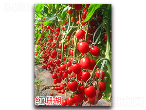 ��ɺ��-ӣ��С����������-����ũҵ
