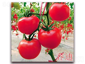 �ǵ�-�����������-����ũҵ
