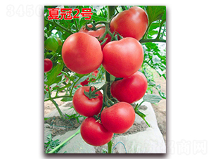 �Ĺ�2��-�۹���������-����ũҵ