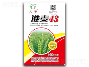 ����43-С������-����ҵ