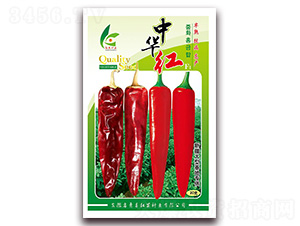 �л���-��������-�췢��ҵ