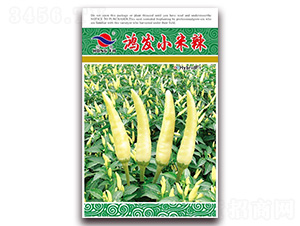 �跢С����-��������-�췢��ҵ