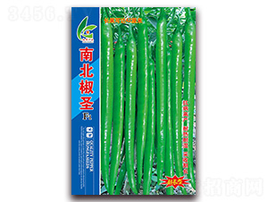 �ϱ���ʥ-�߽�����-�췢��ҵ