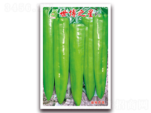 ����֮��-�⽷����-�췢��ҵ