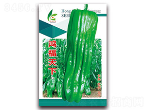�踣����-��Ƥ�ݽ�����-�췢��ҵ