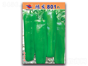 �跢801-��Ƥ�ݽ�����-�췢��ҵ