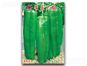 �ۺ���-��Ƥ�ݽ�����-�췢��ҵ