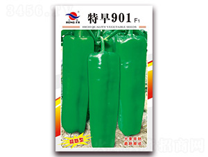 ����901-��Ƥ�ݽ�����-�췢��ҵ