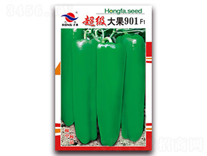 �������901-��Ƥ�ݽ�����-�췢��ҵ