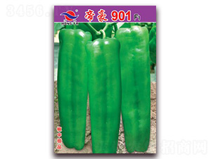 �ۺ�901-��Ƥ�ݽ�����-�췢��ҵ