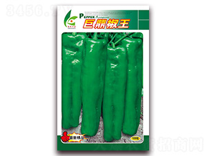 �޶�����-��Ƥ�ݽ�����-�췢��ҵ