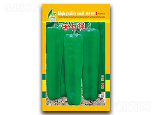 ��ʯ��-��Ƥ�ݽ�����-�췢��ҵ