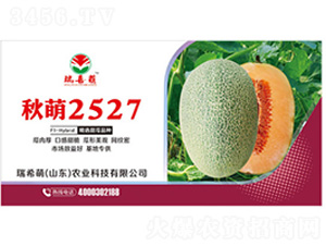 ����2527-�������-��ϣ��