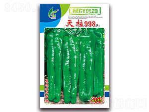 ����998-��Ƥ�ݽ�����-�췢��ҵ