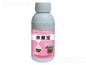 ������׳��-���ڱ�-����ӯ
