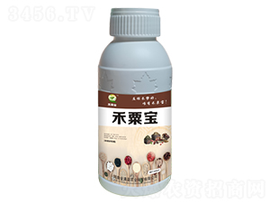��ҩ�Ľ�׳��-���ڱ�-����ӯ